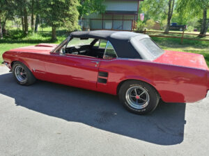Wayne's 1967 Mustang